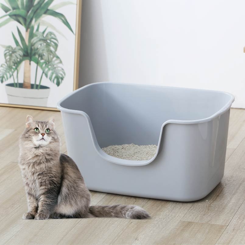 XLarge Cat Litter Box
